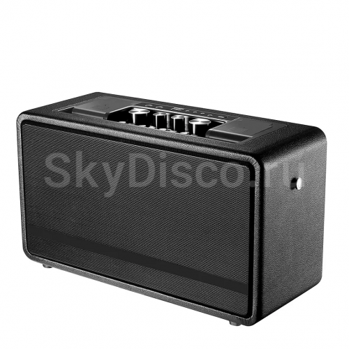 Портативная караоке-колонка с микрофонами SkyDisco YKM23 200 Вт фото 7