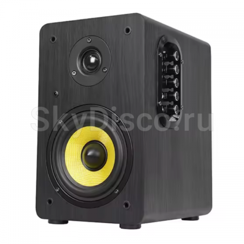 Домашняя караоке система SkyDisco Karaoke Home Set+HF-BQ3 с микрофонами и акустикой фото 7