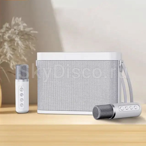 Портативная караоке колонка с микрофонами SkyDisco YS-219 WHITE фото 5