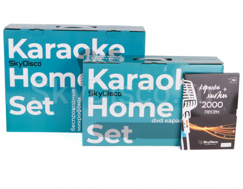 Караоке с акустикой и микрофонами SkyDisco Karaoke Home Set Music Pro: приставка с баллами, микрофоны, колонки 2.0, диск 2000 песен фото 16