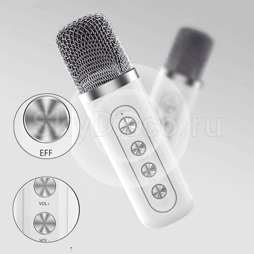 Портативная караоке колонка с микрофонами SkyDisco YS-219 WHITE фото 3