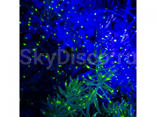 Уличная лазерная подсветка SkyDisco Garden RG 30 Stars фото 2