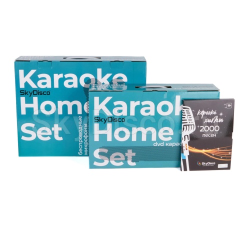 Комплект караоке для дома SkyDisco Karaoke Home Set 3+HF-BQ3 фото 15