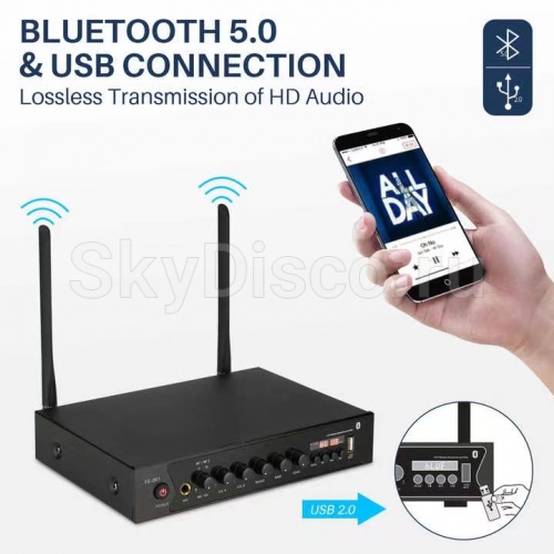 Вокальная радиосистема с двумя микрофонами SkyDisco MIC-WL12 фото 3