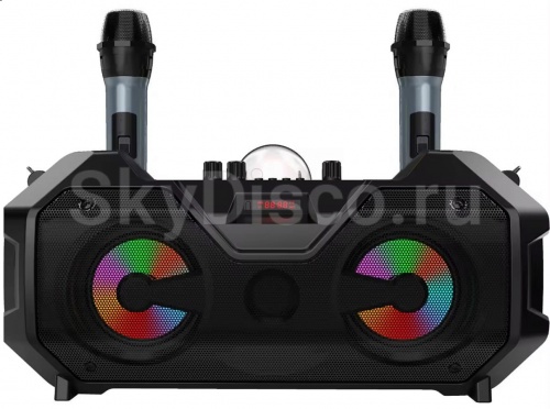 Беспроводная караоке система SkyDisco Partybox 10